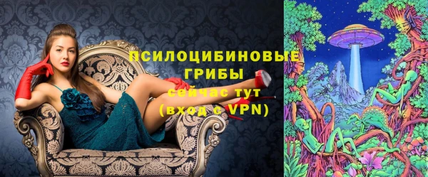 дмт Кодинск