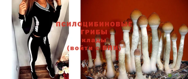 mdma Козельск