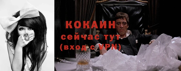 дмт Кодинск