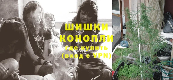крисы Козловка
