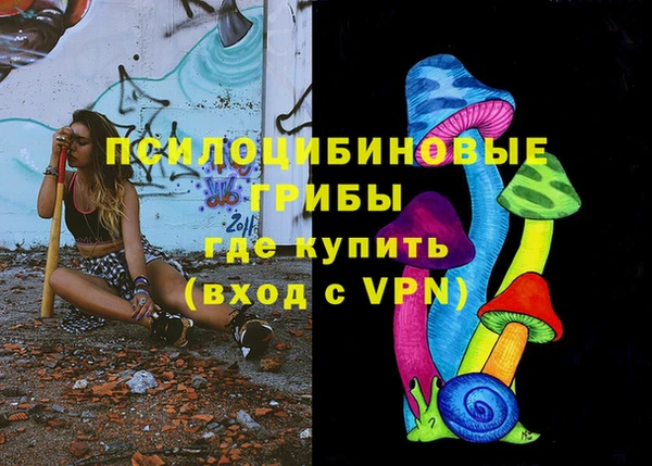 крисы Козловка