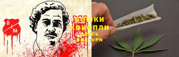 дмт Кодинск