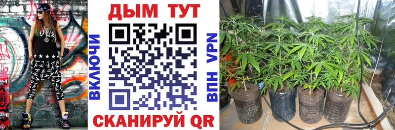 Канабис VHQ  Купить где  Якутск